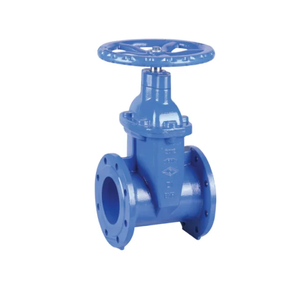 BS 5163 صمام بوابة NRS مرنة