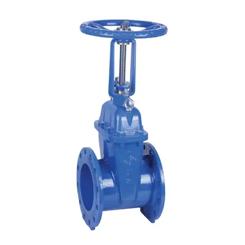 BS 5163 صمام بوابة OS & Y Resilient