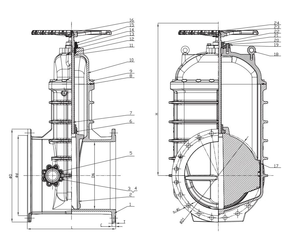 BS 5163 Flanged Resilient NRS Gate Valve with Bypass Outlet